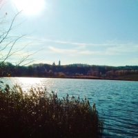 солнечный день :: Владимир 