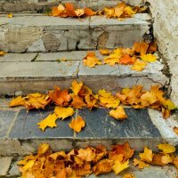 Листопад :: Галина Бобкина Листопад :: Галина Бобкина