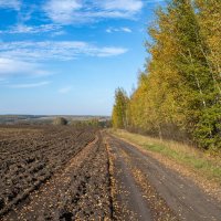 Дорога вдоль поля :: Владимир Иванович
