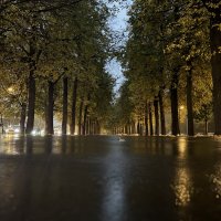 Город,где всегда тепло :: Анна Камс