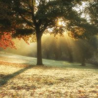 ****** :: Андроник Александр 