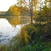 Осень на пруду :: Сергей Ц