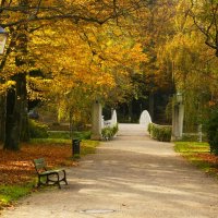 Прогулка по Лихтенталер аллее :: Юрий. Шмаков