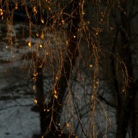 Занавес :: Сергей Сергеев