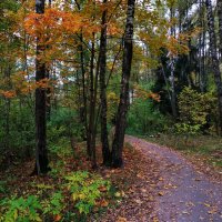 Тема с вариациями :: Андрей Лукьянов