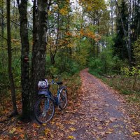 Тема с вариациями :: Андрей Лукьянов