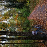 Тема с вариациями :: Андрей Лукьянов