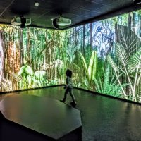 При входе в туннель тропического леса :: Veera V