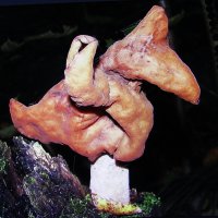 Строчок осенний :: Людмила Смородинская