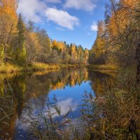 **** :: Елизавета . **** :: Елизавета .