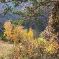 Осенний склон :: Марина Фомина.