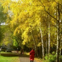 Осень в городе :: Елена Семигина