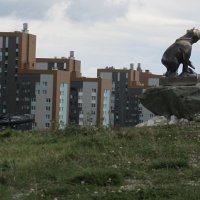 Академический :: Елена Шаламова