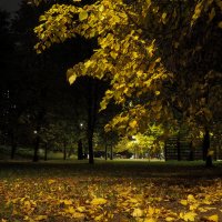 ***** :: юрий поляков ***** :: юрий поляков