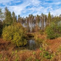 Осень достала краски 4 :: Андрей Дворников