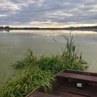 Пасмурный вечер :: Татьяна 