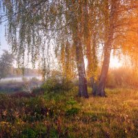 Ярче всего золота мира ... :: Roman Lunin