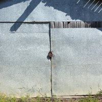 Фотография :: Денис Безногов