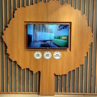 Древо :: Радмир Арсеньев