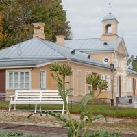 Артишок созрел. :: Ирэна Мазакина