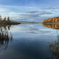 Осенний пейзаж. :: Сергей Адигамов
