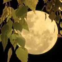 Сегодня полнолуние :: Татьяна Львова