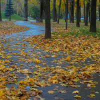 ***** :: юрий поляков