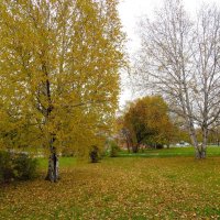 *** :: Лариса С. *** :: Лариса С.