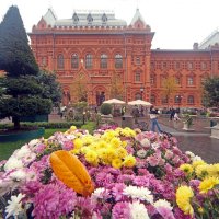 Фестиваль еды и урожая 7 октября :: Михаил Бибичков