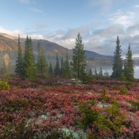 Хибинская осень :: Юрий 