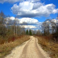 Колотушино :: Артем 