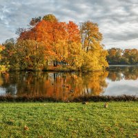 Про Питер :: Владимир Колесников