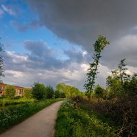 По дорожке... :: Николай Гирш