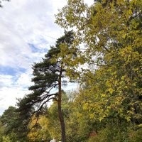 Осенней тропой :: Мария - Maria