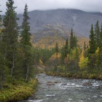 На излучине.............. :: Юрий Цыплятников