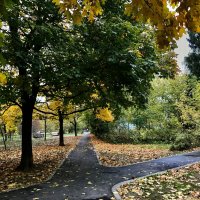 Выбери свою дорогу!) :: Любовь 