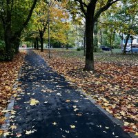 Ковровые дворовые дорожки) :: Любовь Ковровые дворовые дорожки) :: Любовь