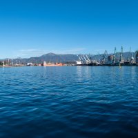 Черное море. Батуми. Грузия. :: Дина Евсеева