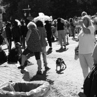 .. :: Юрий Самсонов