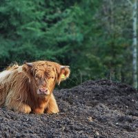 Короткий отдых :: Тамара Вебер