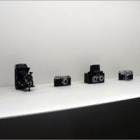 Фотоискусство от дагеротипа до искусственного интеллекта :: zavitok *