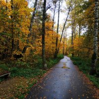 Осень в парке :: Андрей Лукьянов
