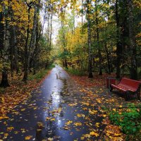 Осень в парке :: Андрей Лукьянов