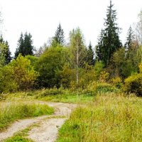 Смоленщина в октябре (репортаж из поездок по области). :: Милешкин Владимир Алексеевич 