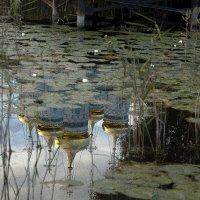 Около купели :: Yury Mironov Около купели :: Yury Mironov