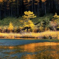 День в октябре. :: fillarret-2