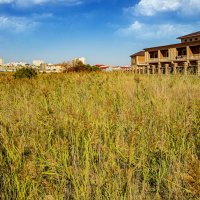 Каспийский берег :: Анатолий Чикчирный