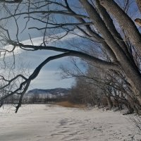 Жосалы.Февраль. :: Андрей Хлопонин