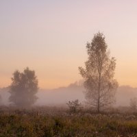 Туманное утро :: Алексей Чигвинцев