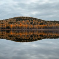 Золотая осень у подножия гор. :: Сергей Адигамов